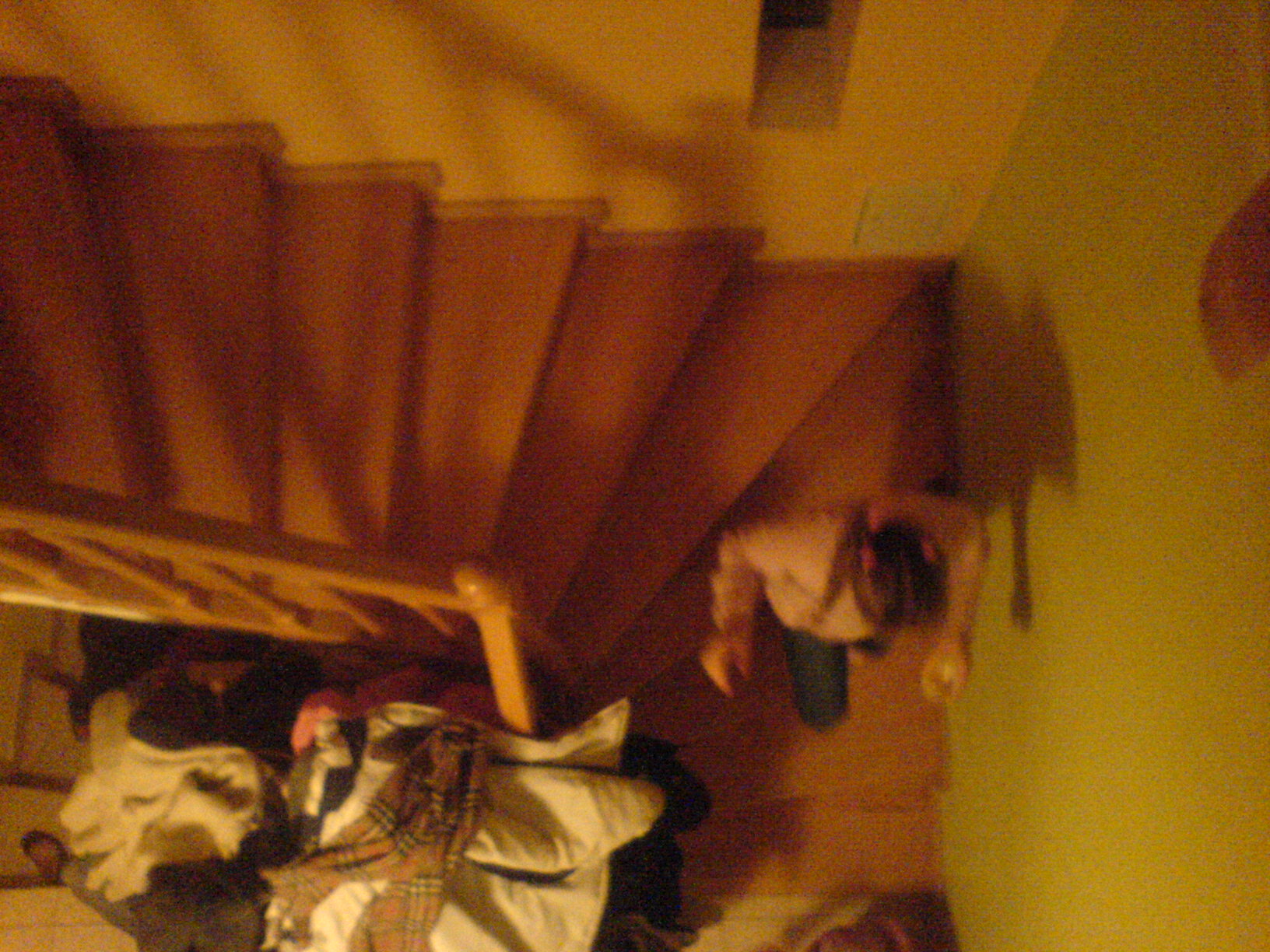 DSC00395.JPG